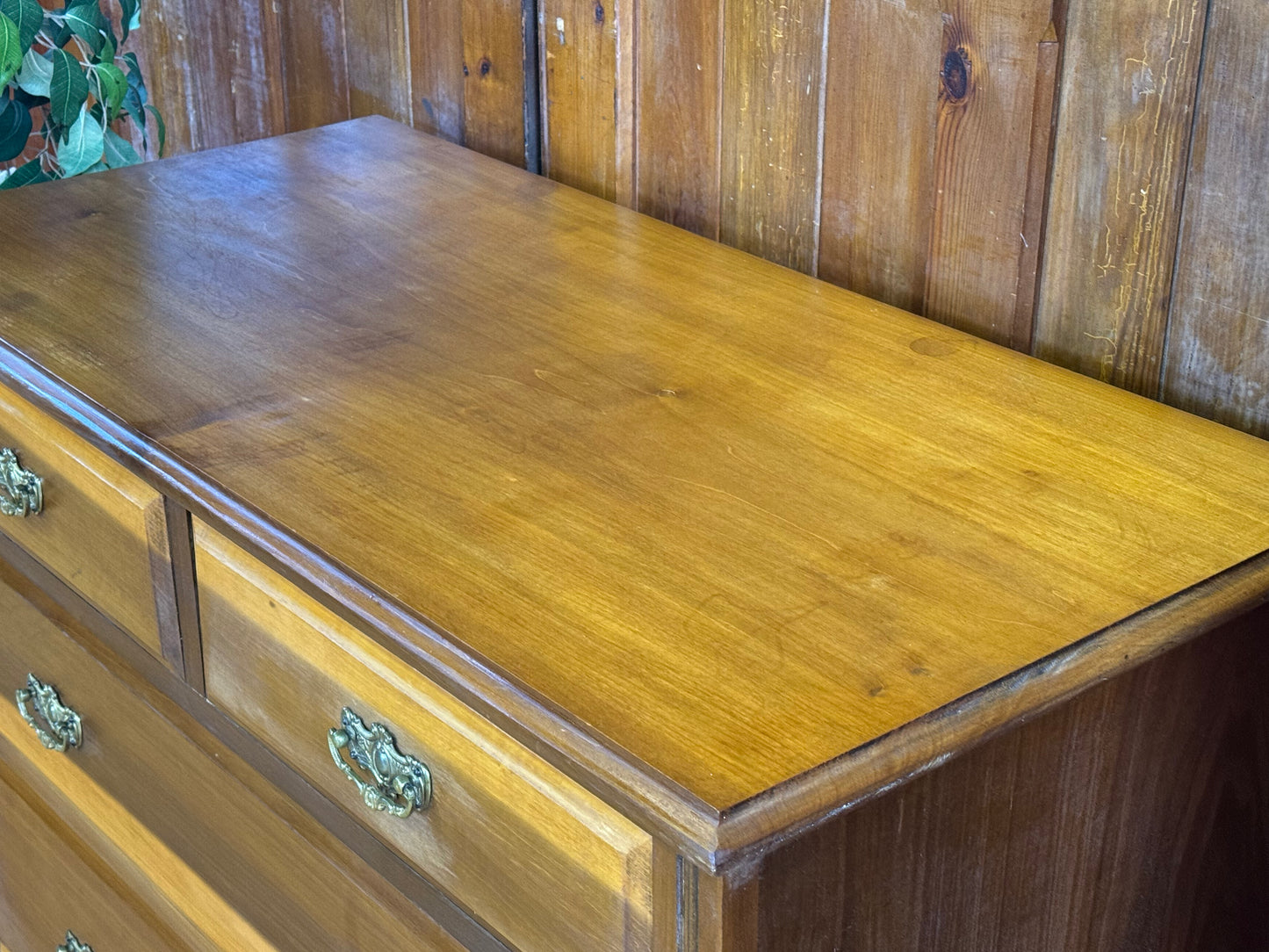 Antique Satinwood Low Chest of Drawers \ Edwardian Storage Draws