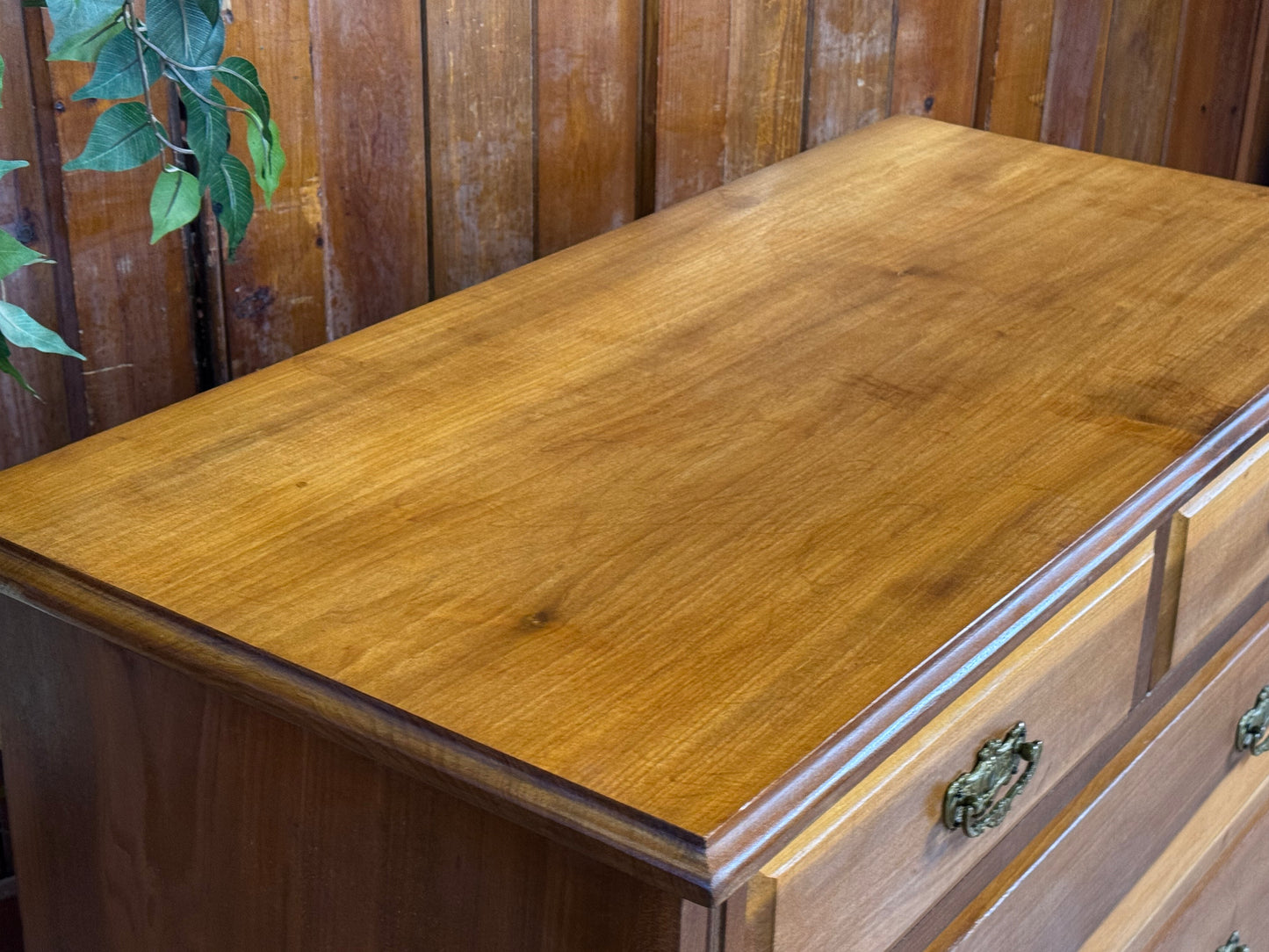 Antique Satinwood Low Chest of Drawers \ Edwardian Storage Draws